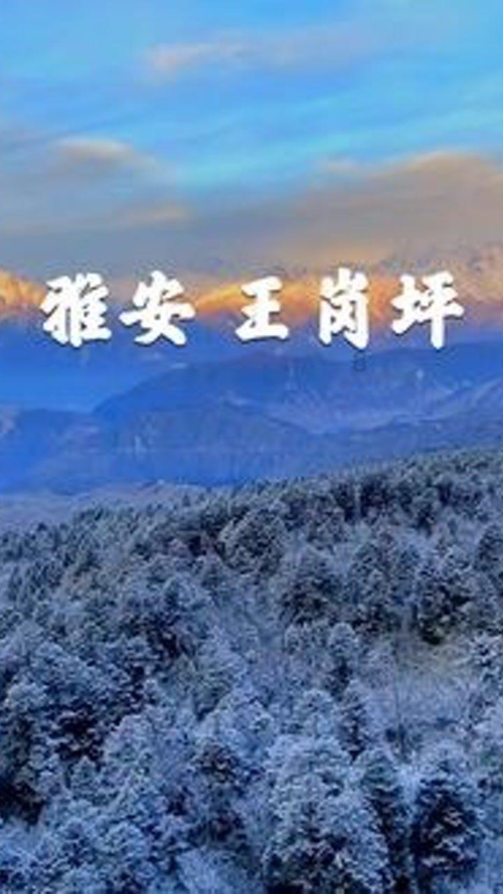 内蒙古有多“长”?四个赛区相隔千里
