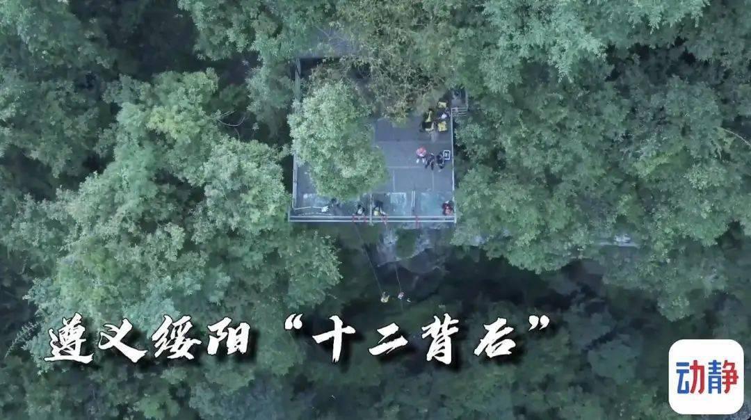 途虎养车起诉京东养车索赔500万 京东：将再补贴5亿推“震虎价”