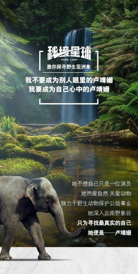 恐龙绝地逃生