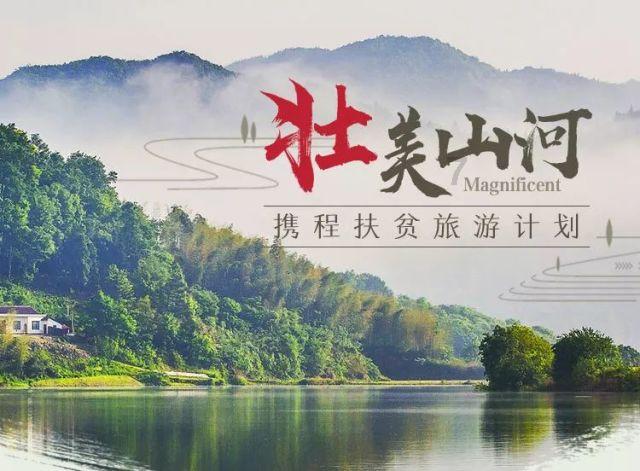 拯救小萌虎