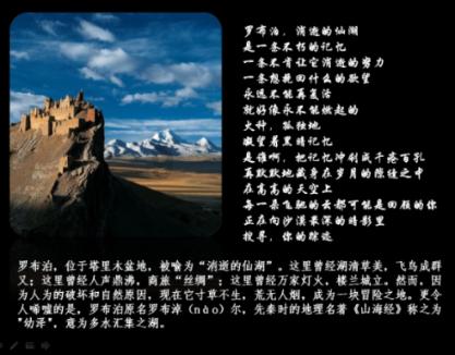 巫师2：刺客之王