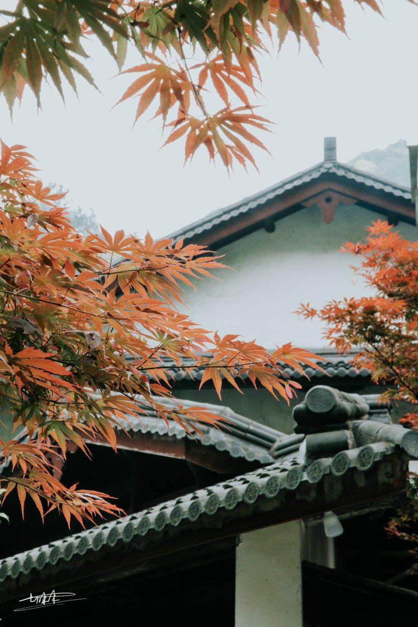 250×13×40的简便运算?知识星球 - 分享、学习、成长的专属平台
