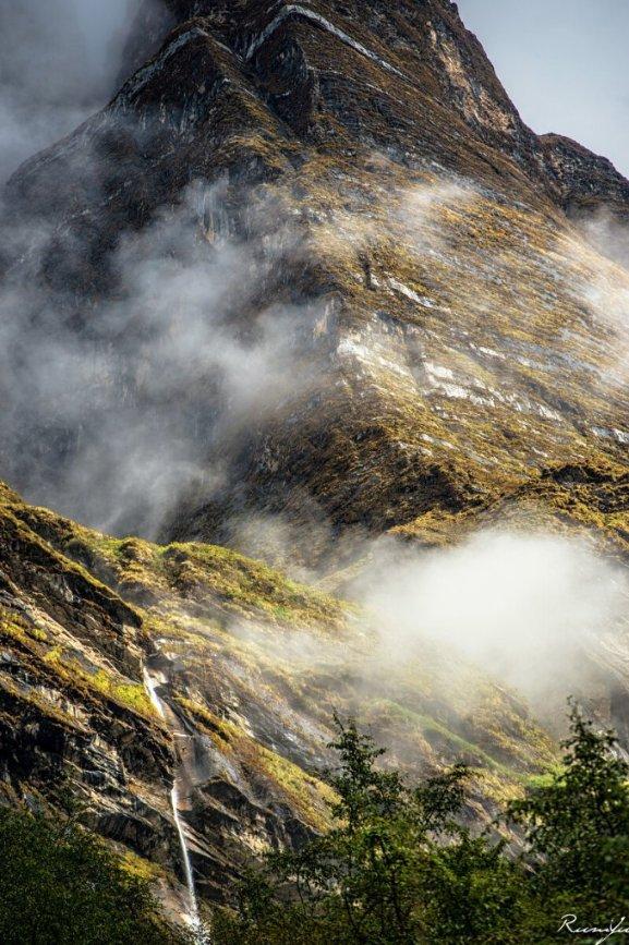 逃离阴森的岛屿