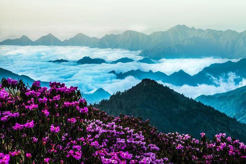 拯救孩子詹姆斯