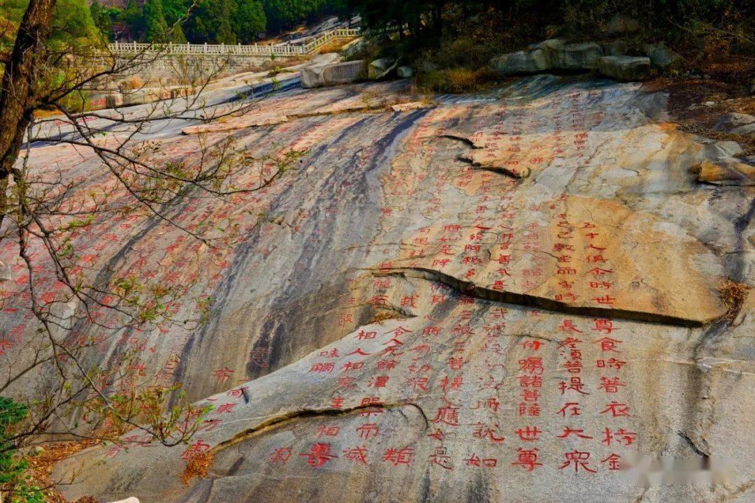 得了神经性偏头痛怎么办？