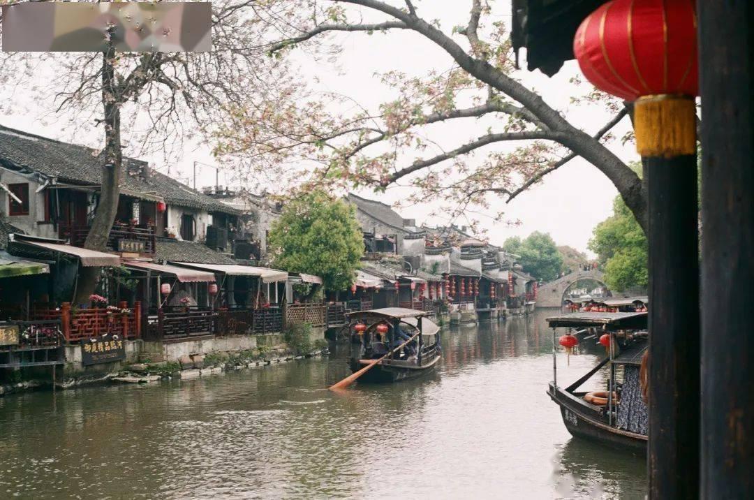 梦想牧场